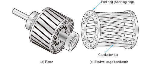 squirrel cage synchronous motor